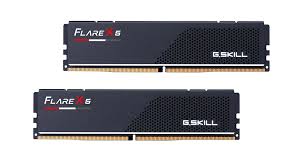 Gskill Flare X5 DDR5 6000 MT/s -AMD EXPO